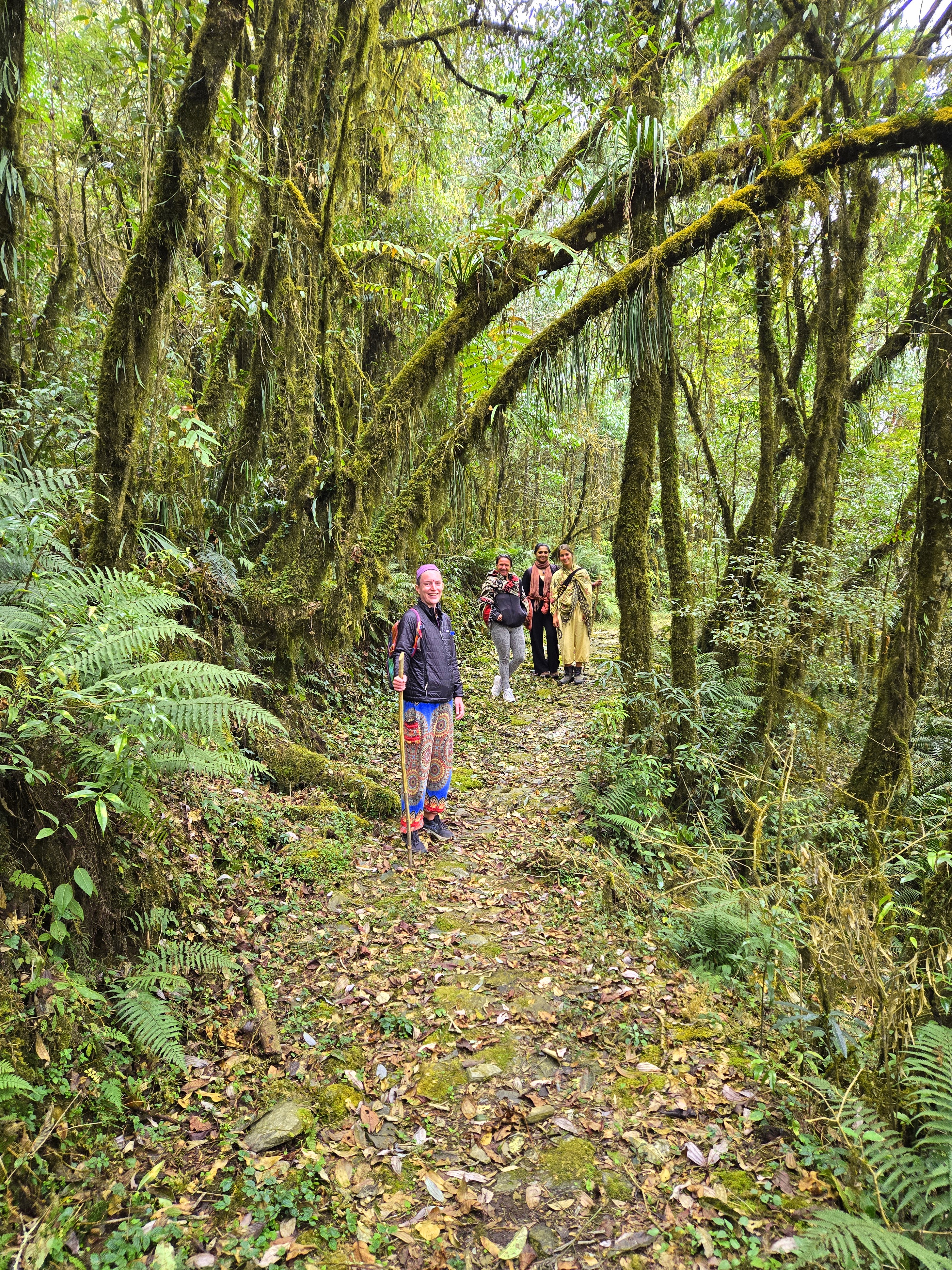MYSTIC OPENINGS DAY TOURS