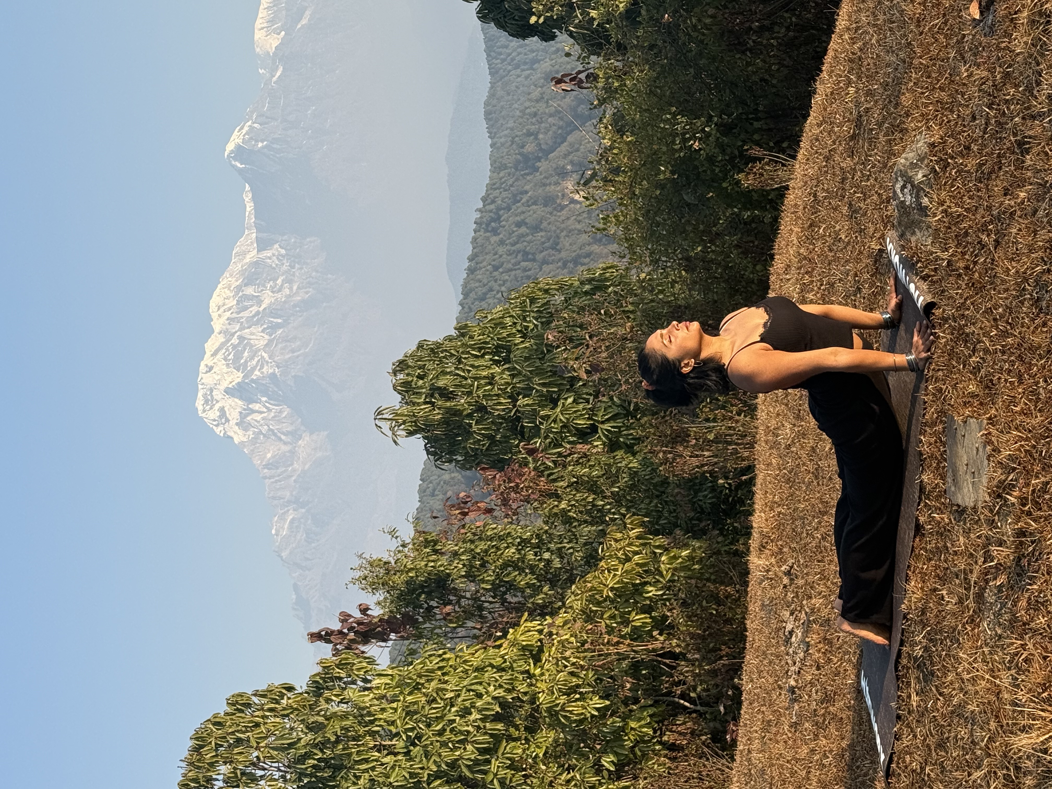 Online Yoga & Qigong Studio