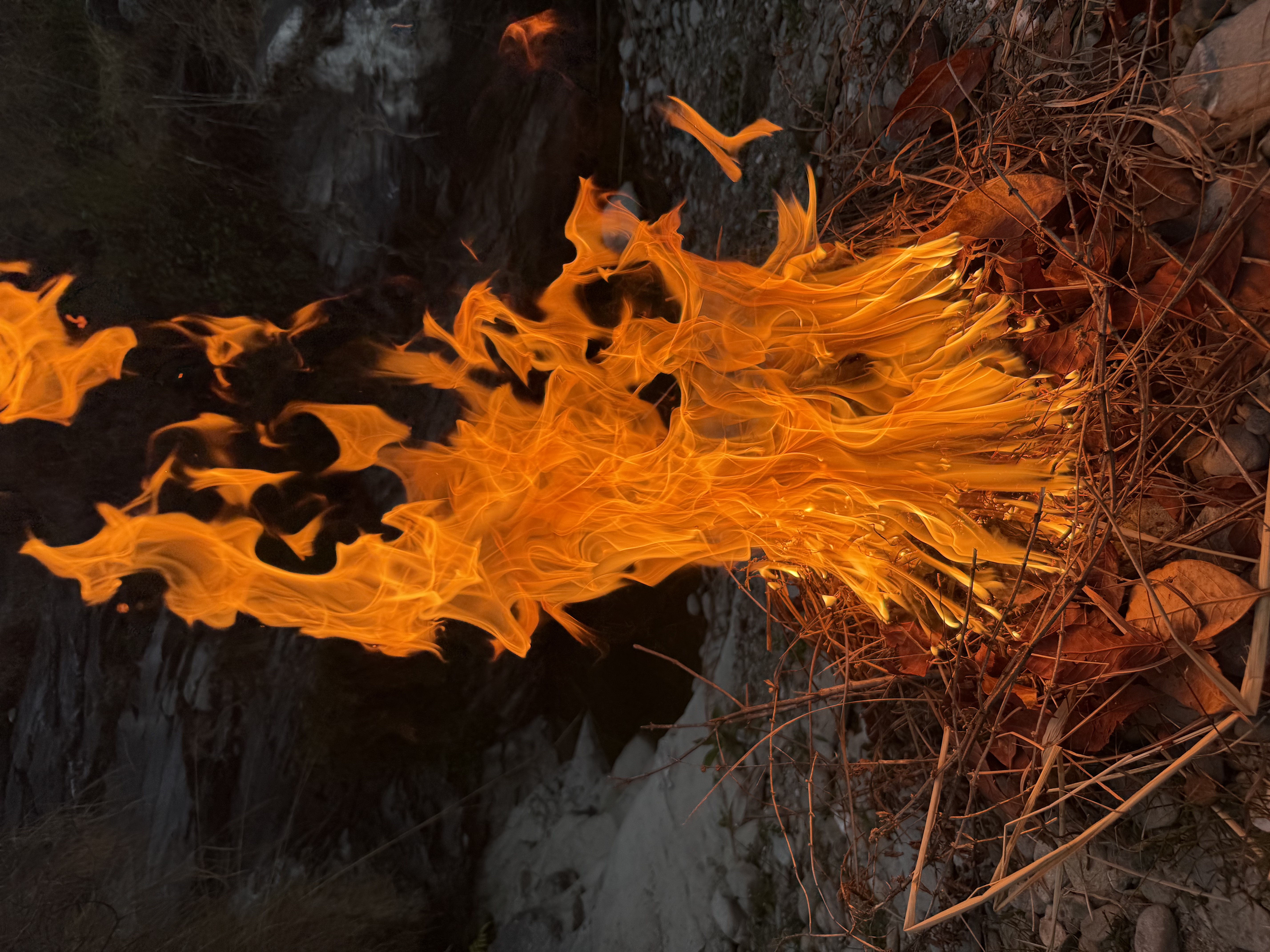 MUKTINATH PILGRIMAGE